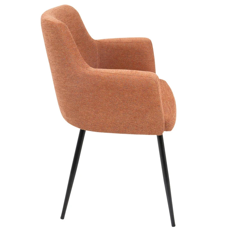 Contemporary Dining and Accent Chair (Set of 2)