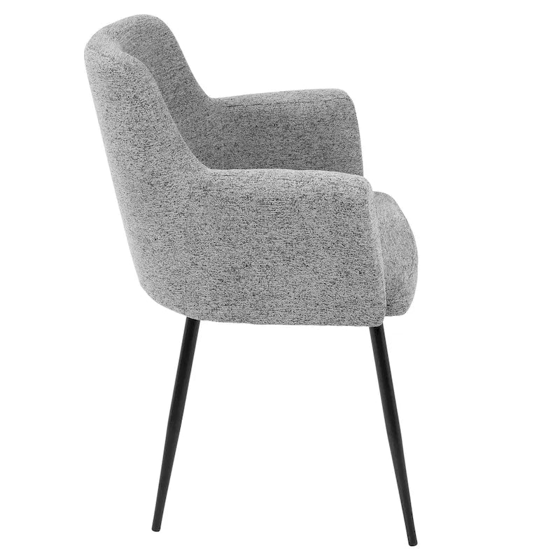 Contemporary Dining and Accent Chair (Set of 2)