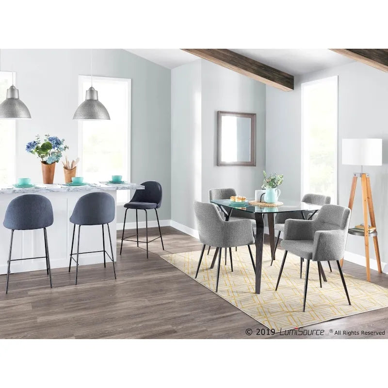 Contemporary Dining and Accent Chair (Set of 2)